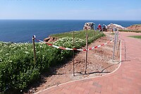 20220523-13.39u Helgoland