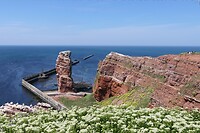20220523-13.42u Helgoland