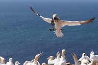 20220523-14.13u-2 Helgoland-1