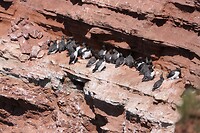 20220523-13.57u Helgoland