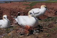 20220523-13.59u Helgoland