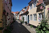 20220728-12.16u Aalborg