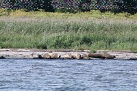 20220729-12.00u Mariagerfjord