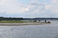 20220730-15.09u Mariagerfjord