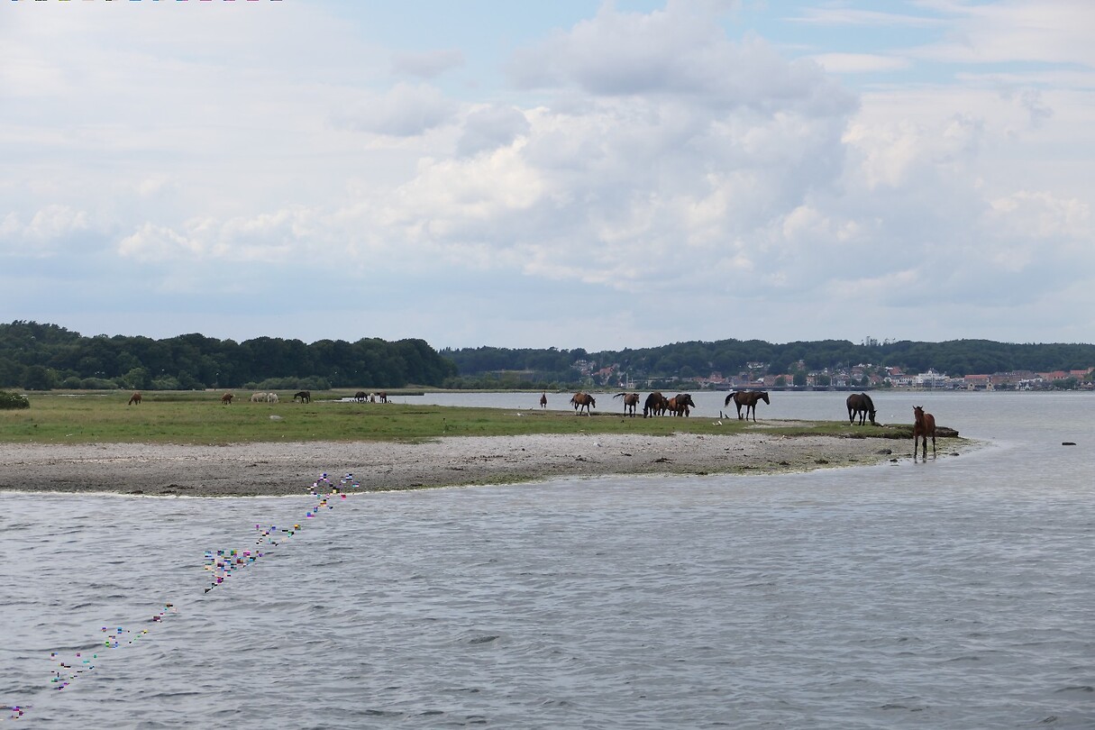 20220730-15.09u Mariagerfjord