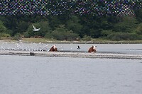 20220731-12.48u Mariagerfjord-1