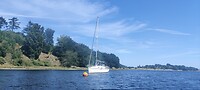 20220801-13.36u Mariagerfjord-1