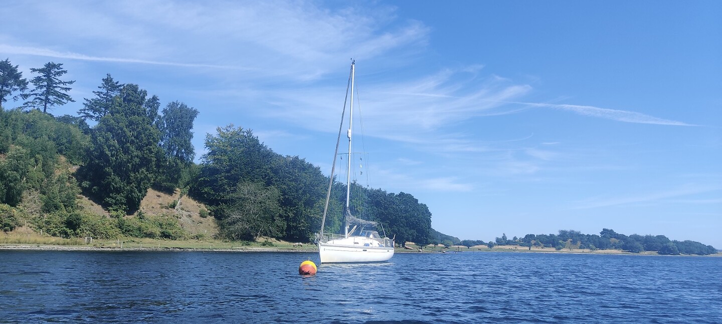 20220801-13.36u Mariagerfjord-1