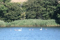 20220813-14.26u Haderslev