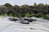 20230530-15.28u Helgoland