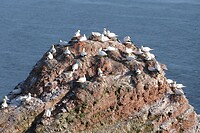 20230530-19.46u Helgoland