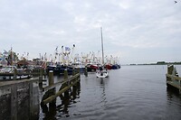 20240520-09.06u