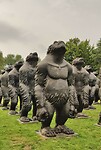 20240807-15.23u