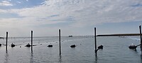 20240902-11.41u-2