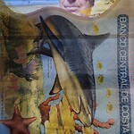 IMG_20230117_065656_928