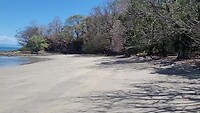 Pura Vida