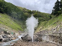 IMG_5278