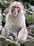 IMG_5285