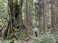 IMG_5516