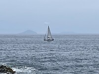 IMG_5578