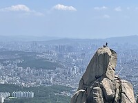 IMG_5694