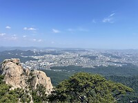 IMG_5716