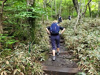 Hallasan summit trail: Seongpanak - Gwaneumsa 18.3 km 9 uur