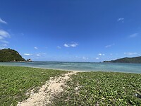 IMG_6441