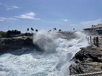 IMG_6691
