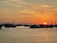 IMG_6736
