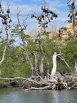 IMG_6850