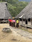 IMG_7010