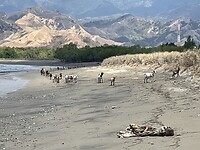 IMG_7086