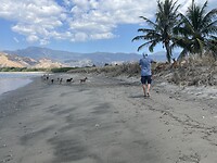 IMG_7087