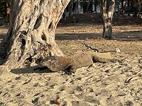 IMG_7127