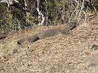 IMG_7142