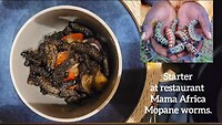 Kaapstad en de Kaap Zuid Afrika, een korte tussen-stop