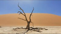 Namibië Solitaire & Sossusvlei
