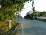 2005
