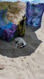 Bep graaft zelf een kuiltje, dan is het zand minder warm