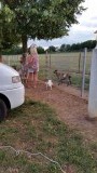 Op de kinderboerderij