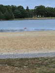 IMG-20240810-WA0004