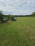 IMG-20240815-WA0004