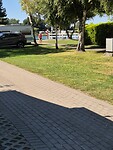 IMG-20240812-WA0008
