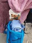 IMG-20240826-WA0010
