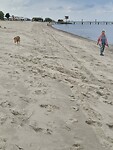 IMG-20240825-WA0016