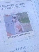 Beppie haar paspoort, 9 jaar geleden in de armen van Ana