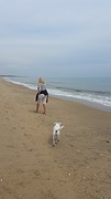 Strandwandeling. ...