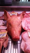 Wat eten we vandaag?