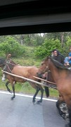 zigeuners onderweg...